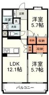 ドルフ中田本町の間取り画像