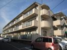 第5岡村ビルの間取り画像
