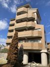 クレスト和泉の間取り画像