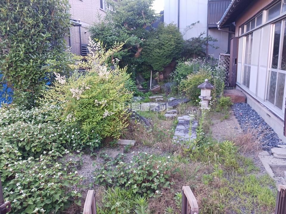 庭