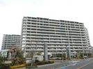 プレミスト湘南辻堂 FOREST Faceの間取り画像