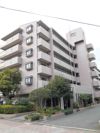 ベルメゾン堺の間取り画像