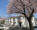 原宅貸家 1号棟の間取り画像