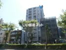 コアメゾン川崎の間取り画像
