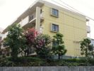 シャトー秋葉町の間取り画像