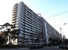 エバーグリーンポートアイランド2号棟の間取り画像