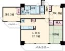 セレナハイム新大宮セントラルステージの間取り画像