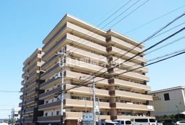 セレナハイム新大宮セントラルステージの外観画像