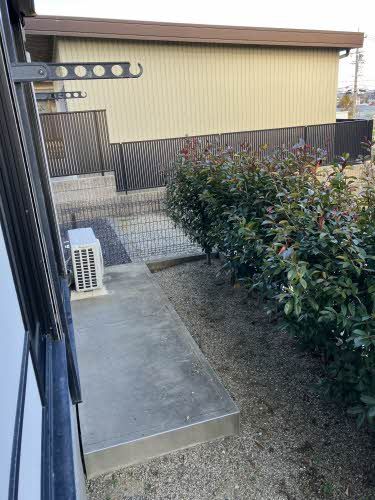 庭