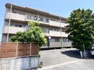 岩崎マンションの間取り画像