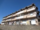 TAフラット桐の木の間取り画像