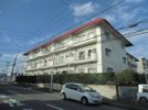 シャインクロコの間取り画像