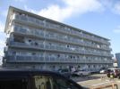 葵マンションの間取り画像