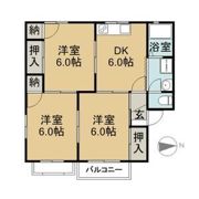 メゾンドールの間取り画像