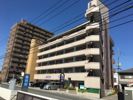グランデメゾン上市の間取り画像