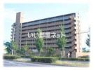 花房国分寺マンションの間取り画像
