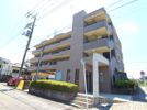 グローリーヒルズⅡの間取り画像
