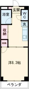 セントラーレ青山21の間取り画像