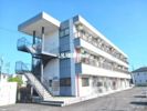 ステラコートの間取り画像