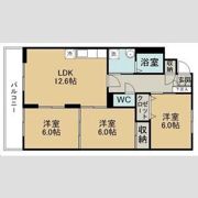 COKULAS柏木の間取り画像