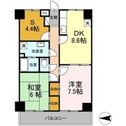 フリーダム光が丘Ⅲの間取り画像
