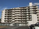 コスモ野洲の間取り画像
