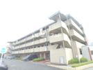 ルミエール高橋の間取り画像