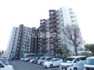 コスモ大和スターアベニューサードウイングの間取り画像