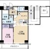 WINDOM亀川の間取り画像