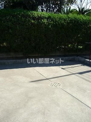 庭