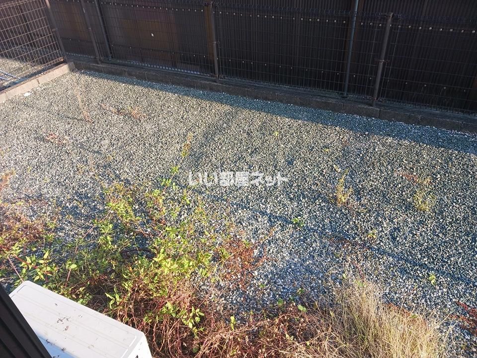 庭