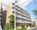 エトワール多摩川の間取り画像