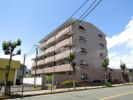田園コートエレガンスBの間取り画像