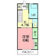 ドミール五番館の間取り画像