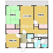 セゾン中島西の間取り画像