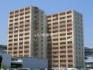 リファレンス箱崎の間取り画像