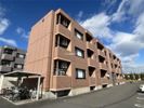 ステラの間取り画像