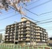 ドミ中屋の間取り画像