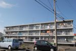マンションカメリアIIIの間取り画像