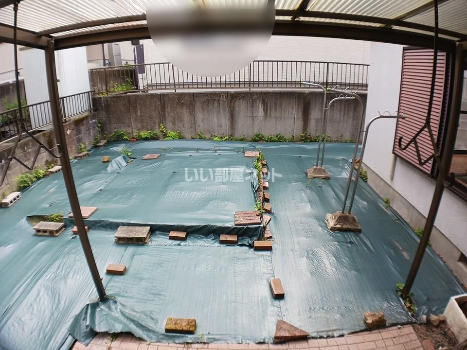 庭