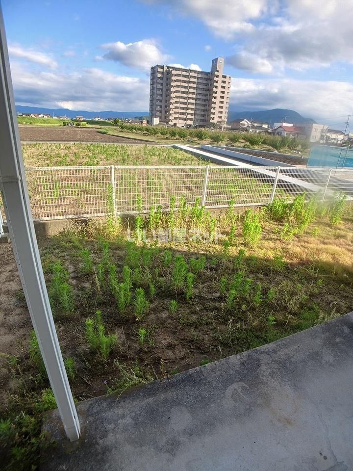 庭