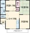HSハイツ天神木の間取り画像