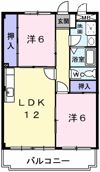 グレイス竹内の間取り画像