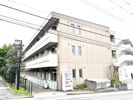 カシータ梶ヶ谷の間取り画像