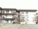 畑野マンションの間取り画像