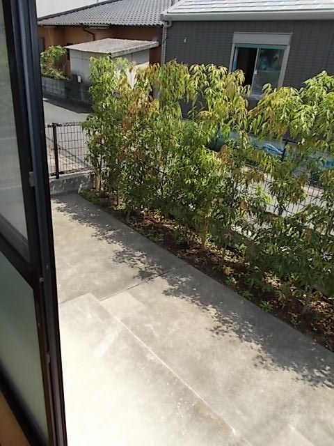 庭