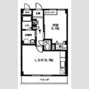カトルセゾンの間取り画像