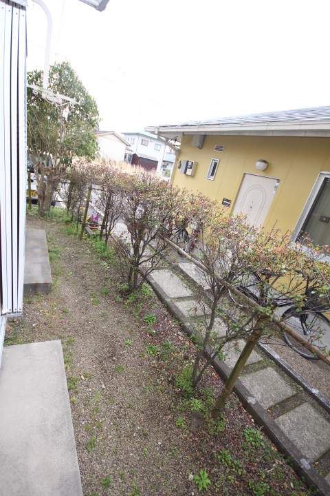 庭