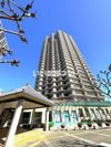 スカイライズタワーの間取り画像