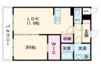 COLAS MIFUNE EAST（コラスミフネイースト）の間取り画像